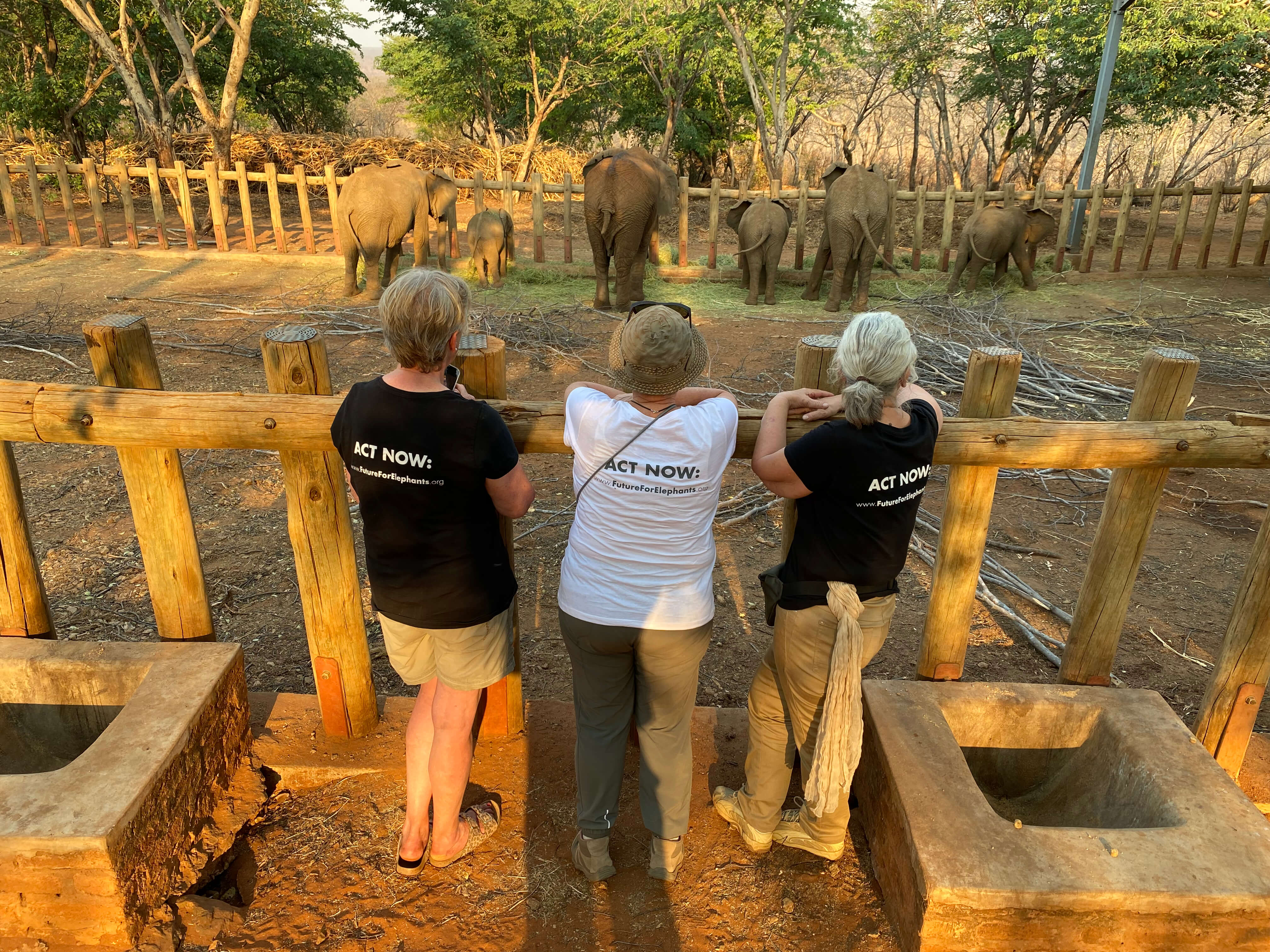 Zu Besuch bei Wild is life in Simbabwe